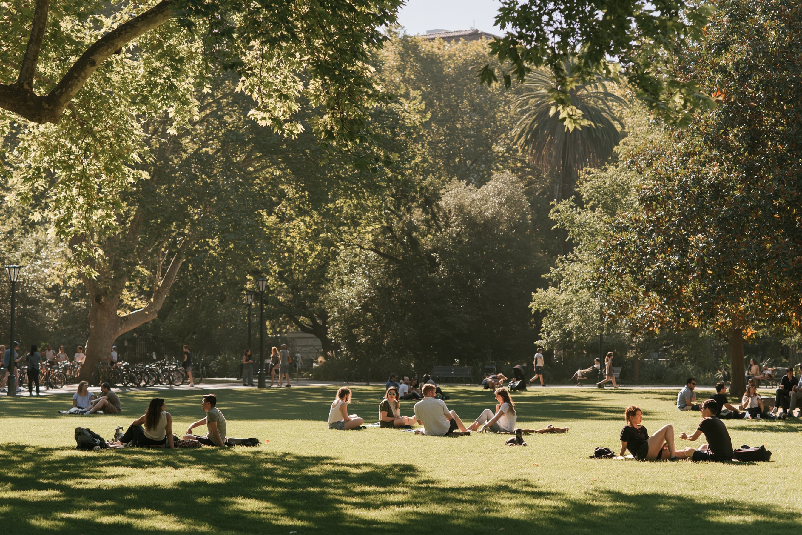 Groups of friends relaxing and talking on the grass in a sunlit park