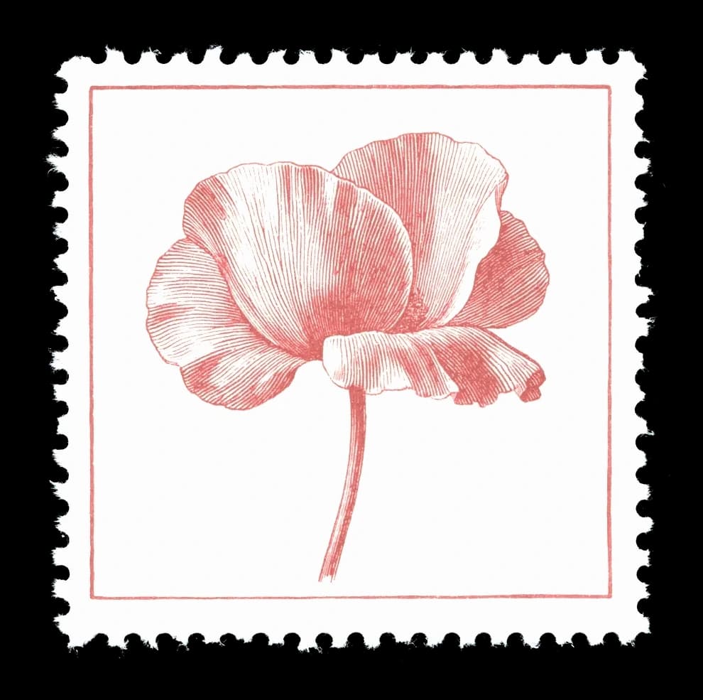 Vintage French postage stamp engraved with a poppy in red ink